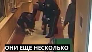 Мир не без добрых людей!