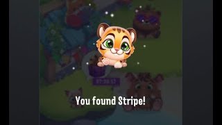 Pet Rescue Puzzle Saga Level 99