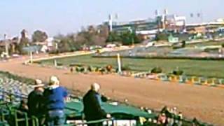 Church Hill Downs (Part 1)