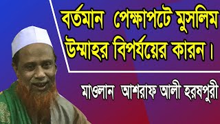 বর্তমান প্রেক্ষাপটে মুসলিম উম্মাহর বিপর্যয়ের কারন। আল্লামা হরষপুরী।