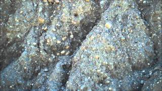 Glacial Till Features