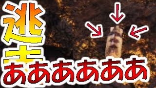 【MHW実況】ツチノコに逃げられて絶叫する男。確率低すぎやろ！【モンハンワールド】
