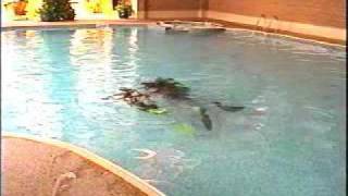 Liannes first SCUBA lesson