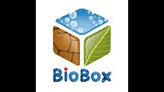 Обзор аквариумных рыбок и растений в BioBox.