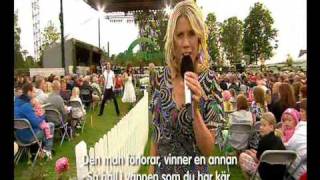 Svensktopp Medley - Div. Artister