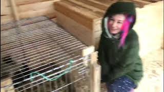 Спасение медвежонка из Онеги. часть2