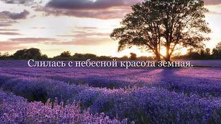 Музыка цветов. Music of  flowers.