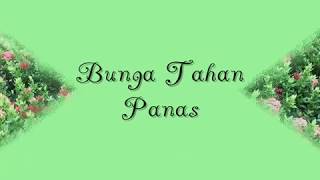 Pokok Bunga Tahan Panas - Tropical Flowers