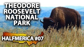 Buffalo Roam At Theodore Roosevelt National Park -- #Halfmerica