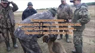 Р.Г. Звонка вл.Шевчук А.Н. дип. 1ст., 17.10.2015г. Киров.