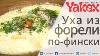 Уха по-фински из речной форели со сливками. Божественное блюдо, совсем не сложное в приготовлении.
