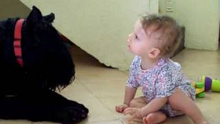 The Dogtor is In