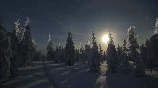 Немец–Агата Кристи-Сказочная тайга (кавер)