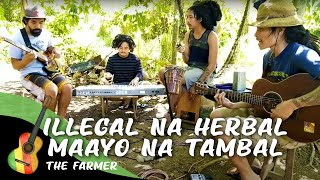Illegal na Herbal Maayo na Tambal | The Farmer