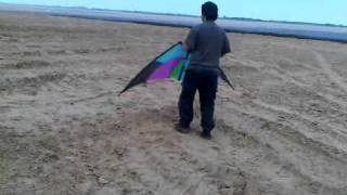 Volando Un Regis De Alto Vuelo...