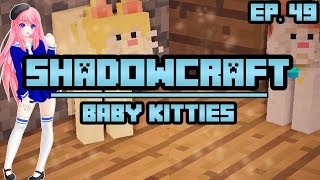 Baby Kitties | ShadowCraft | Ep. 49