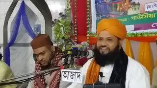আল্লামা মুফতি আবুল হাসান ওমাইর রেজভী [ মাঃজিঃআঃ ] শাহাদাত-এ কারবালা মাহফিল / Madina Sharif Online