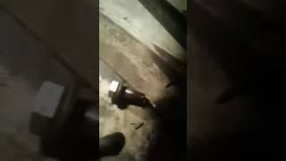 Пробное видео канала ...
