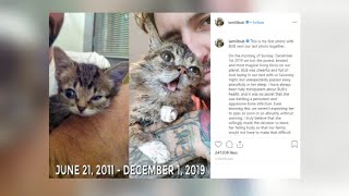 Remembering famous feline 'Lil Bub'