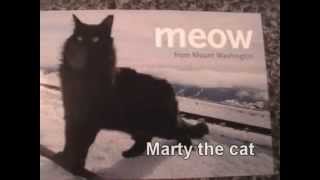 Mt Washington Weather Cats