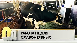 Работа не для слабонервных
