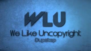 DJ ASSASIN - Frag Out