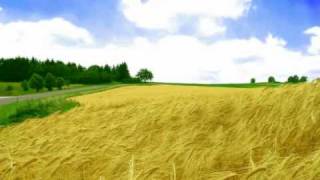 Через всю жизнь, из года в год (Невидимые руки)
