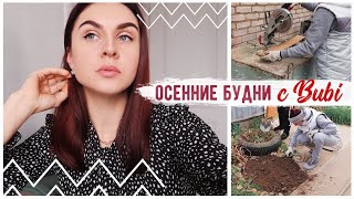 СНОВА ПЕРЕКРАСИЛАСЬ ПРИШЛО ВРЕМЯ ОБЛАГОРОДИТЬ ДВОРИК