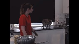 Ксюша Зануда - Эпик Битва с ЛОРИКОМ