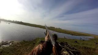 Лучшие моменты 2016 года в замедленном. Охота на гуся, утку, тетерева.