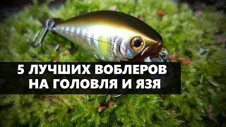 5 ЛУЧШИХ ВОБЛЕРОВ ДЛЯ РЫБАЛКИ НА ГОЛОВЛЯ И ЯЗЯ