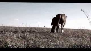 georgiofilm Клип группы ТЯНИ ТОЛКАЙ Обочина Продюсер ЮРИЙ СПИРИДОНОВ 1920x1080