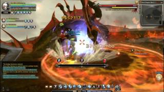Dragon Nest[NA] Valkyrie x Gladiator Duo RDN Wyvern