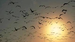 Susanna Minasyan- Xarabaxi zmruxt havqer