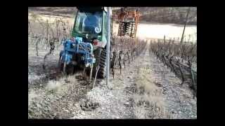 FENDT VARIO WEINBAU mit RAUPENKETTEN