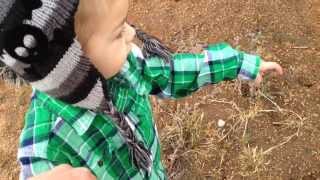 Step by step - softypapa adventures