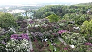 Аэросъемка. Свадьба. Ботанический сад им. Гришко. Аerial video. Kyiv. [Copterfield]