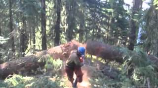 2013 Crew 4-1 fire season