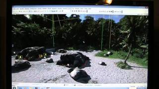 How to install the crysis extreme settings mod (Tutorial)