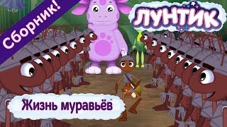 Жизнь муравьёв ? Лунтик ? Сборник мультфильмов 2018