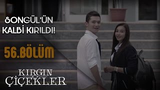 Kırgın Çiçekler 56.Bölüm - Güney'i kıskanan Songül!