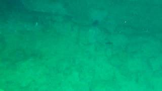 glass bottom boat fuerteventura