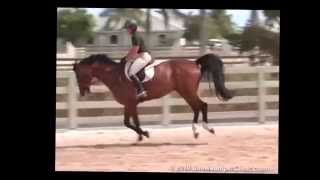 ShowJumperClinic.com presents Beezie Madden Riding & Lecturing Danny Boy sample 7072007