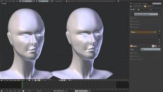 Introduction to Shape Keys in Blender 2.6