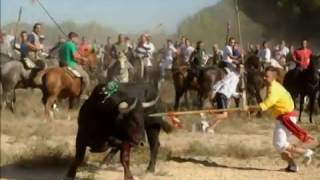 ESCARAMUZA- Elegido- No al toro de la vega-no a la tauromaquia
