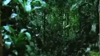 Massacre in dinosaur valley.  Quicksand scene.