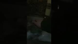 Ясли Христа в Пещере Рождества #shorts
