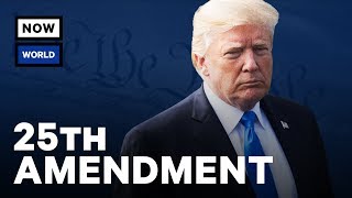 Can The 25th Amendment Really Remove Donald Trump? | NowThis World