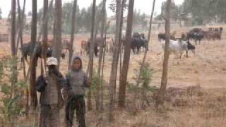 HOPEthiopia - EMI 2009