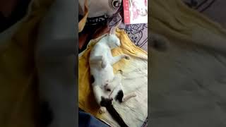 Sleeping mom